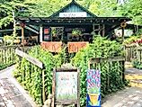 Wildflower Café in Mentone, Alabama (via Why you should visit Mentone, Alabama - Alabama News Center)