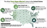 Infographic showing the most toxic algae-affected lakes in the United States.
