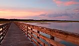Huntington Beach State Park, Murrells Inlet, South Carolina.