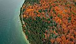  Aerial view of autumn forest in Peninsula State Park, Wisconsin.