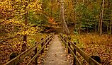 Nashville, Indiana / United States. Editorial credit: Michele Korfhage / Shutterstock.com