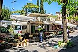 Woman enjoying weekend farmer's market in piazza, Spello, Umbria