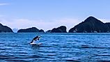 A scenic view of an orca over the water with beautiful mountains in the background. 