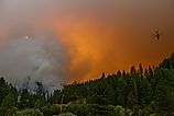 A helicopter moves above  a section of the McFarland Fire in the Shasta-Trinity National Forest in California, Editorial credit: DBrownPhotos / Shutterstock.com