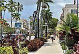 Downtown street in Naples, Florida. Image credit Paulm1993 via Shutterstock