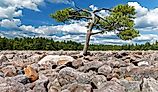 The Boulder Field is a geological feature at Hickory Run State Park, Carbon County, Pennsylvania, USA.