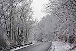 A snowy road near Massanutten in Virginia.