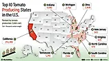 infographic showing The Top 10 Tomato-Producing States In The United States