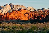 Snow Canyon State Park, Utah. 