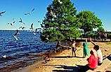 New Bern, North Carolina: Family feeding a flock of flying seagulls on the banks of the Neuse River, via LEE SNIDER PHOTO IMAGES / Shutterstock.com