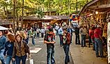 People enjoying the Georgia Mountain fair in Hiawassee, Georgia in the summer. Image credit Bob Pool via Shutterstock