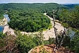 A lookout over the Ozark Mountains in Arkansas. Credit: Logan Bush/ Shutterstock.com