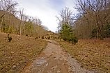 Heading to Cumberland Gap on the Wilderness Road in Cumberland Gap National Park in Kentucky