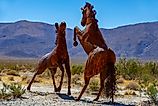 A metal sculpture of two horses on the Galleta Meadows estate in Borrego Springs, California. Grossinger / Shutterstock.com