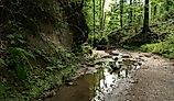 Clark Creek Natural Area, Tunica Hills, Mississippi