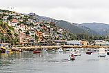 Avalon California