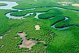 Amazon River in the Amazon Forest of Brazil