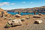 Ginkgo Petrified Forest State Park in Washington State. 