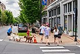 gs and People Make Friends on the Sidewalks of downtown Washington, North Carolina