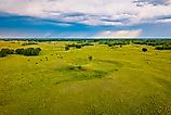 An expansive aerial view captures cattle grazing and feeding across the vast, undulating landscapes of the Sheyenne National Grassland in North Dakota