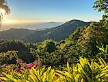 Tropical National Forest of El Yunque in Puerto Rico. 