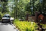 Congaree National Park entrance in South Carolina. Image credit Cavan-Images via Shutterstock