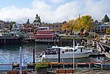Friday Harbor, Washington. Image credit The Image Party via Shutterstock