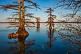Landscapes of Reelfoot Lake Tennessee