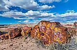 Petrified wood in the badlands of the Petrified Forest National Park in Arizona.