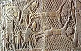 Assyrians flaying their prisoners alive.