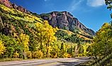 Golden autumn aspen near Redstone, Colorado on Scenic Highway 133	