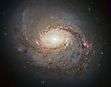 Galaxy
