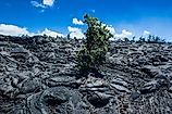 Volcanic lava stream in the Hawaii Volcanoes National Park. 