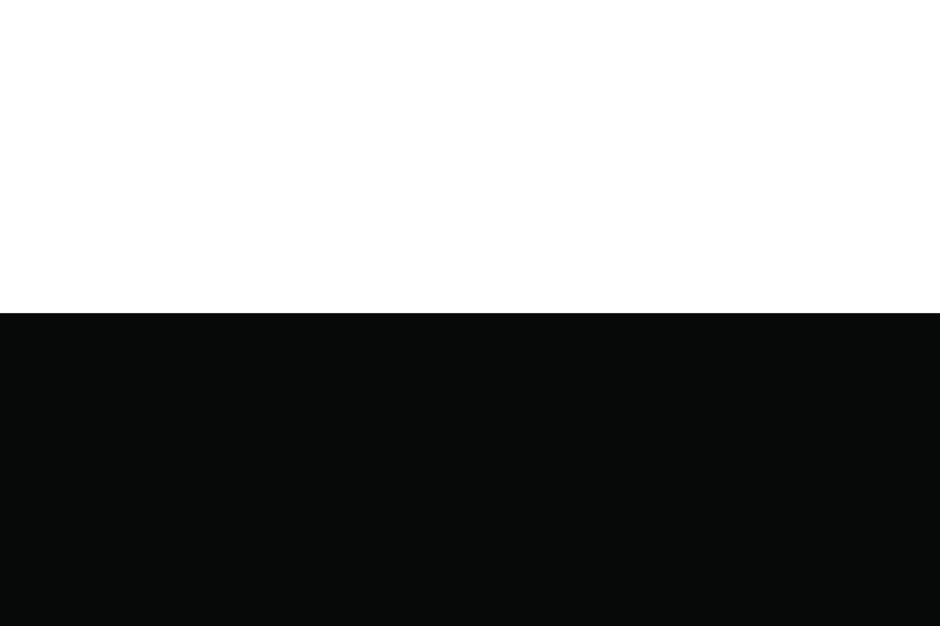 download formula 1 black and white flag download formula 1 black and white flag