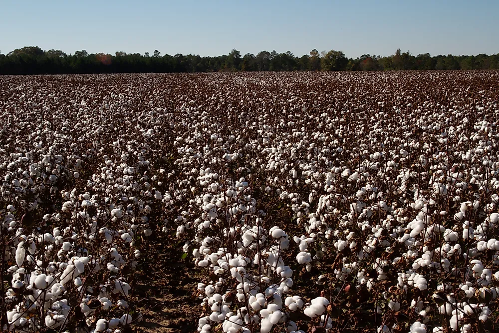 Where Is The Alabama Black Belt? WorldAtlas