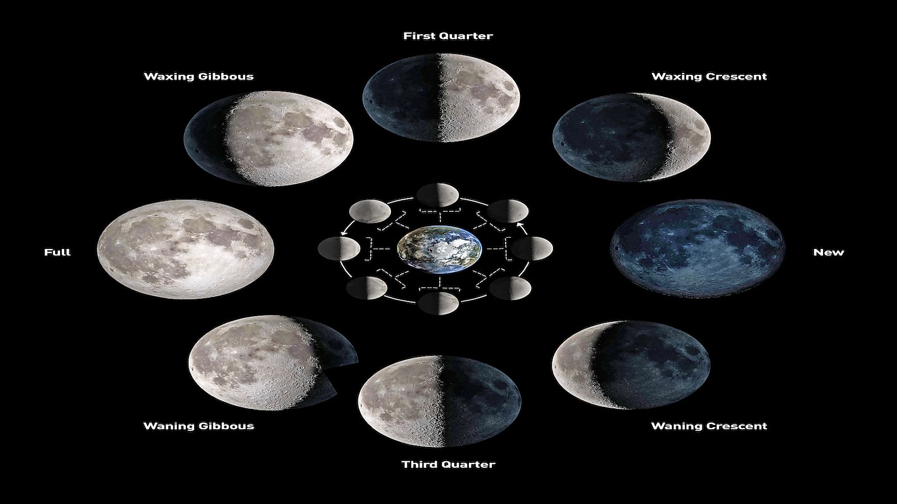 What Are The Different Phases Of The Moon? WorldAtlas