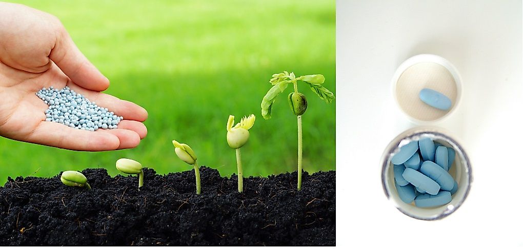 Leading Exporters Of Calcium Phosphates WorldAtlas