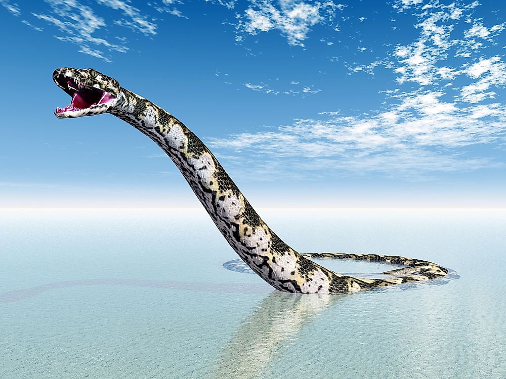 largest anaconda ever largest anaconda ever