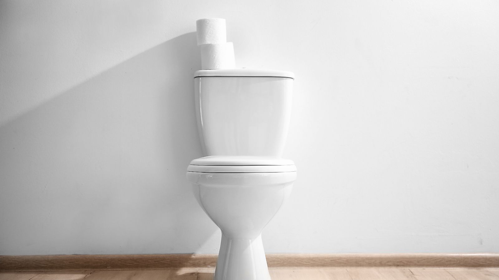 Who Invented The Toilet? WorldAtlas