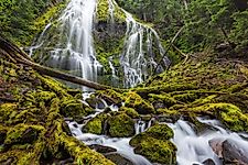 US National Forests of Oregon