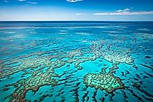 How Many Types Of Coral Reefs Are There?