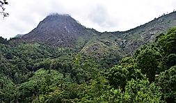 Where Are The Eastern Ghats?