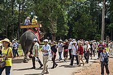Cambodia Bans Elephant Rides at Angkor Wat
