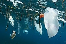 Great Pacific Garbage Patch