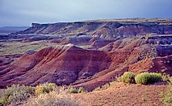 Where In The US Is The Painted Desert?