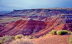 Where In The US Is The Painted Desert?