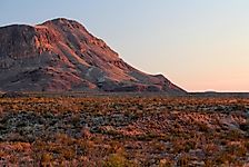 Do Humans Live In The Chihuahuan Desert?