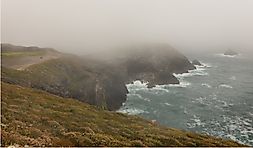 How Does Coastal Fog Form?