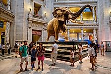 10 Best Natural History Museums Around The Globe