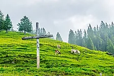 Countries With the Highest Percentage of Rural Residents